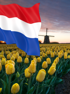 Nederlands -NT2  ERK A1 - A2 deel 1